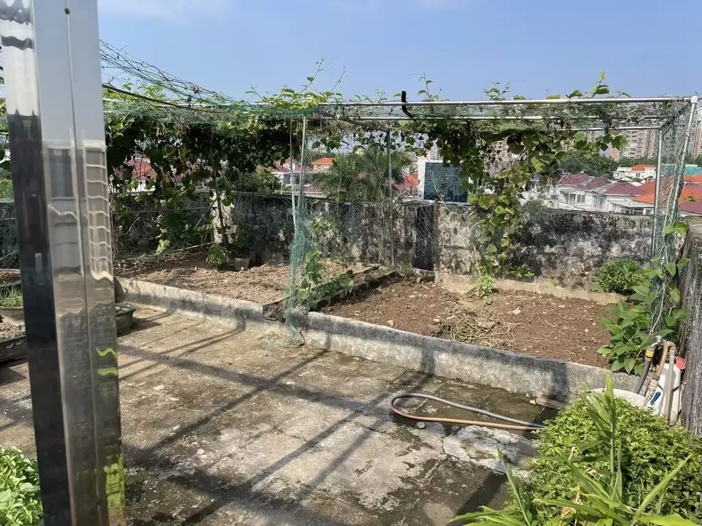 IB满分，康奈尔/UCB/UCLA等6所名校录取！TA用核桃油和植物烘焙“食”进藤校！