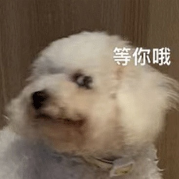 CNEC/IEO经济双竞赛组队中！北京四中/人朝分/南京外国语等学霸集结，翰林报名&备考一站式服务！