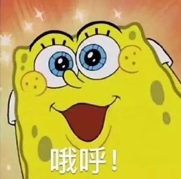 入选IOI国家队！42位学员在USACO晋级铂金！闪耀国际计算机赛场！