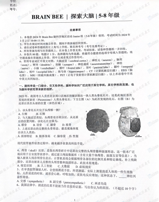 5年级即可挑战！BrainBee脑科学竟是培养跨学科思维的“宝藏竞赛”？