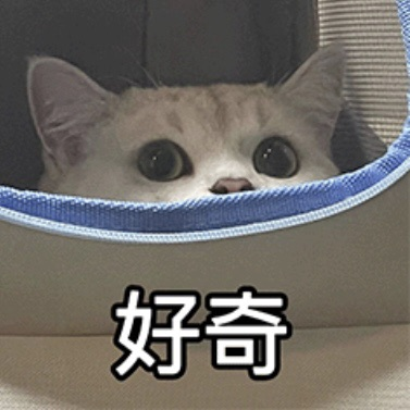 AMC官方认证优秀教练亲授！AMC8数学竞赛体验课来了！实现暑期逆袭！