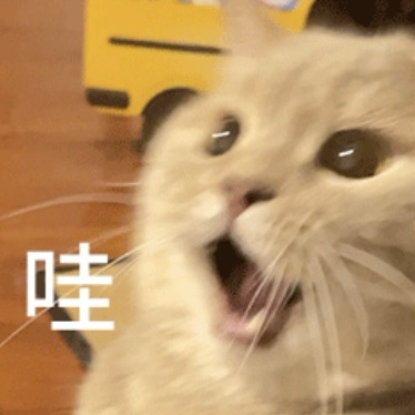 AI领域新赛事！USAAIO美国人工智能奥赛！中学生冲刺AI领域的黄金赛道！
