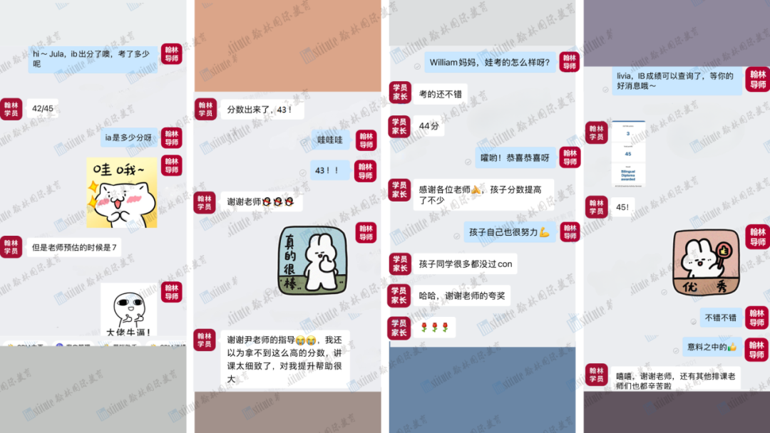 翰林IB大考炸裂！78%学员狂飙40+，均分41.2碾压全球均分近11分！