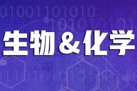 有方2024年度回顾!累计斩获750+荣誉奖项,哈佛、MIT等全球Top大学offer拿到手软!2025续写新篇章! 有方2024年度回顾!累计斩获750+荣誉奖项,哈佛、MIT等全球Top大学offer拿到手软!2025续写新篇章!
