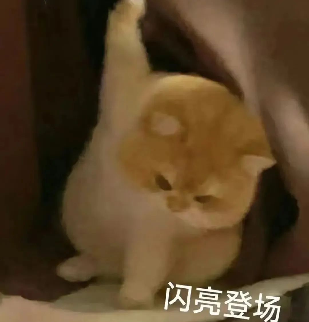 2025 CSRankings美本AI专业排名发布!CMU第一,MIT跌出前五... 2025 CSRankings美本AI专业排名发布!CMU第一,MIT跌出前五...