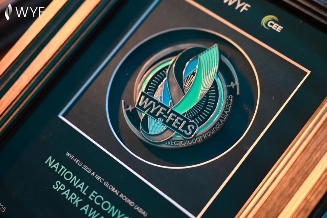 翰林CNEC经济全球夺魁！2026新赛季，深国交等神仙队友集结，冲击全球1%！