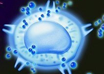 生物学课题 | 脑科学的 “新眼睛”！如何通过成像技术记录神经信号的实时轨迹，助力脑科学探索?