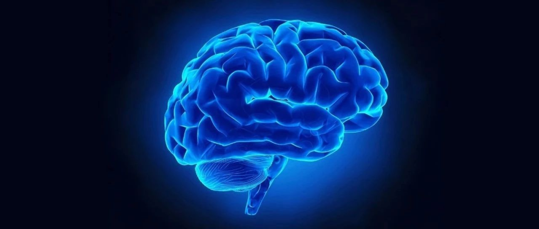 生物学课题 | 脑科学的 “新眼睛”！如何通过成像技术记录神经信号的实时轨迹，助力脑科学探索?