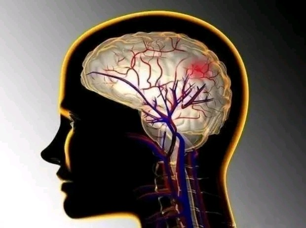 生物学课题 | 脑科学的 “新眼睛”！如何通过成像技术记录神经信号的实时轨迹，助力脑科学探索?