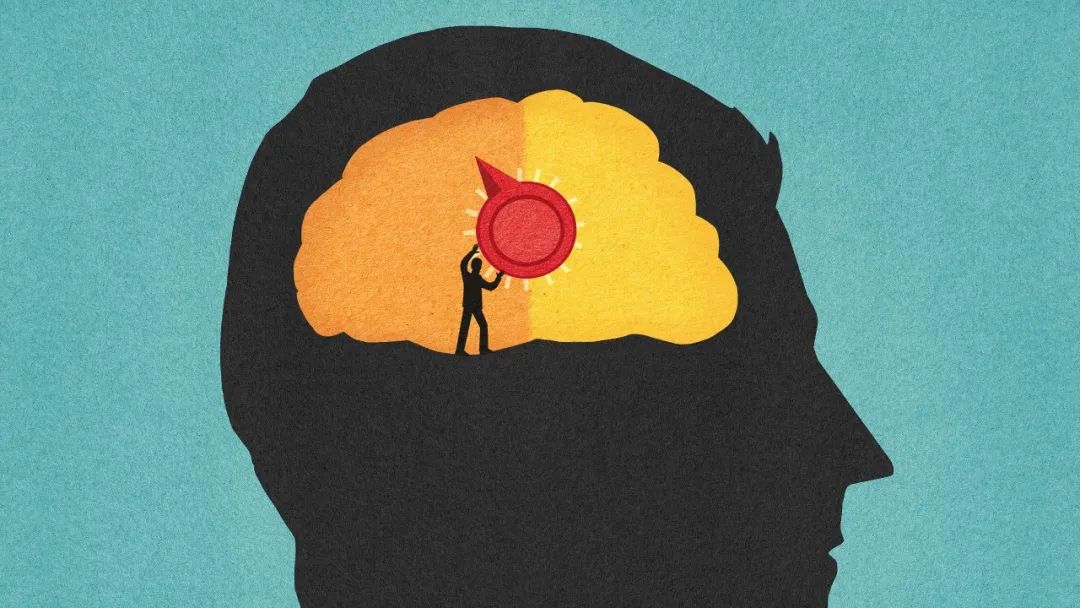 生物+AI+心理学！BrainBee脑科学活动跨学科能力的最佳“认证章”！