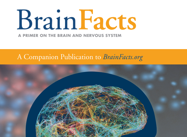 生物+AI+心理学！BrainBee脑科学活动跨学科能力的最佳“认证章”！