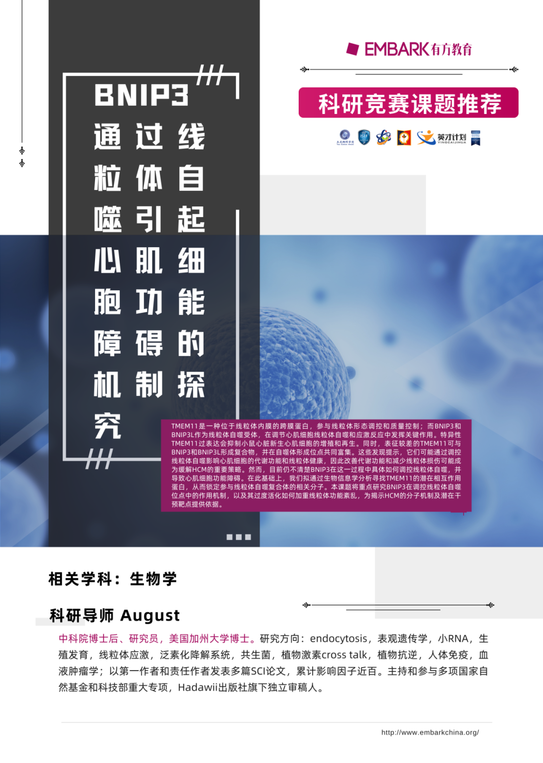 BNIP3通过线粒体自噬，是如何导致心肌细胞功能障碍的？
