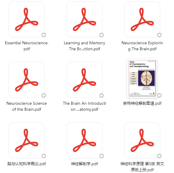 2026 Brain Bee赛程已定！5-12年级零基础可参加，用脑科学竞赛叩开藤校/G5大门！