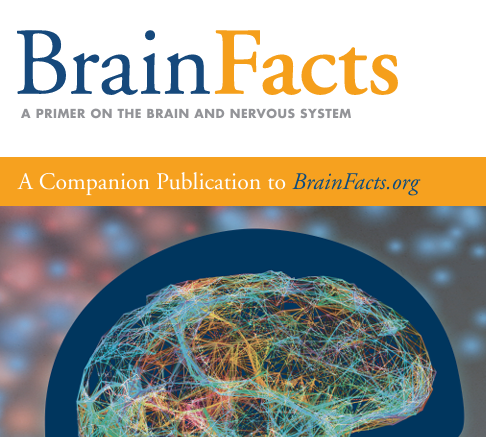 2026 Brain Bee赛程已定！5-12年级零基础可参加，用脑科学竞赛叩开藤校/G5大门！
