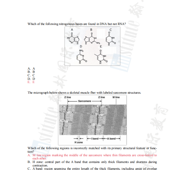 USABO&BBO新赛季开启！生物竞赛“双顶流”如何备战？一备两考冲击双金！