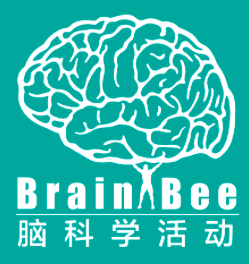 全國第2/8/11/13名！翰林學員斬獲BrainBee腦科學國賽多項高名次！