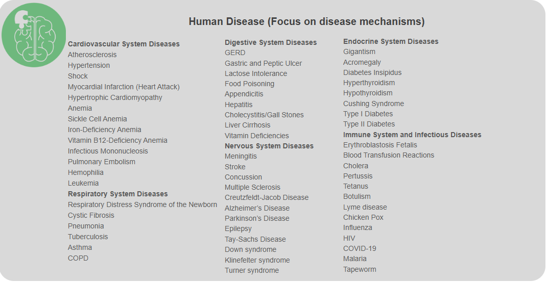 前8名可晋级IMDO全球赛！ChinaMDO医学和疾病奥赛2026新赛季开启！