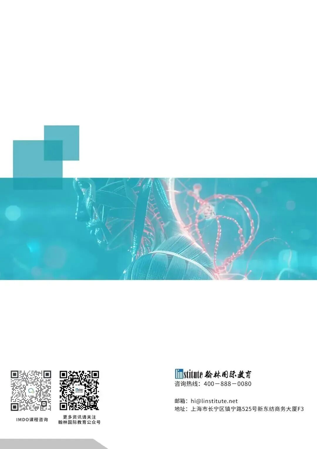 深耕九载！30+国际竞赛/课程讲义，硕博100%团队操刀，助力爬藤冲G5！