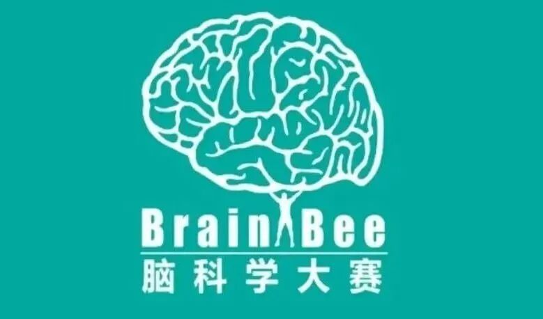 BrainBee脑科学活动一键解锁生物/心理学/AI的跨学科“黄金”履历！打造独特竞争力！