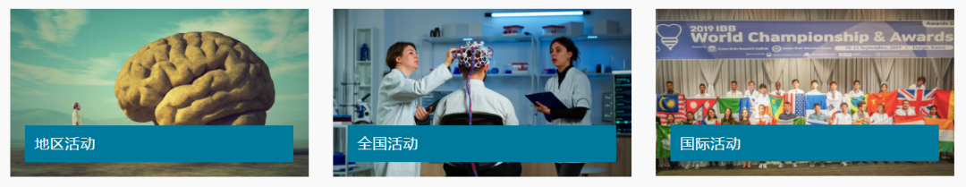 BrainBee脑科学活动一键解锁生物/心理学/AI的跨学科“黄金”履历！打造独特竞争力！