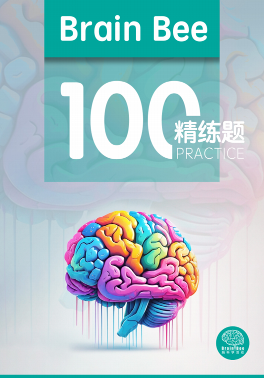 BrainBee脑科学活动一键解锁生物/心理学/AI的跨学科“黄金”履历！打造独特竞争力！