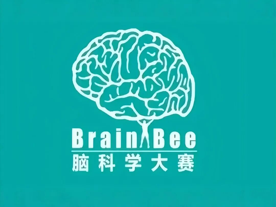 UCB/CMU/萊斯三所頂尖院校offer！上中國際學(xué)霸如何將學(xué)術(shù)優(yōu)勢發(fā)揮極致？